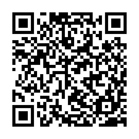 QR code for ILY 294