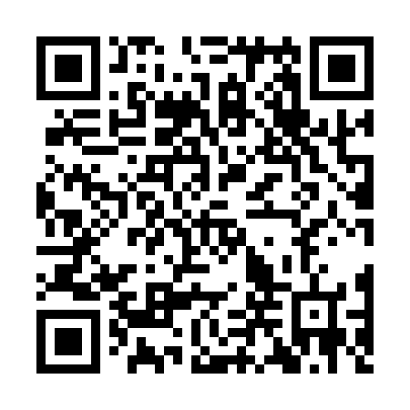 QR code for plate ILY 166
