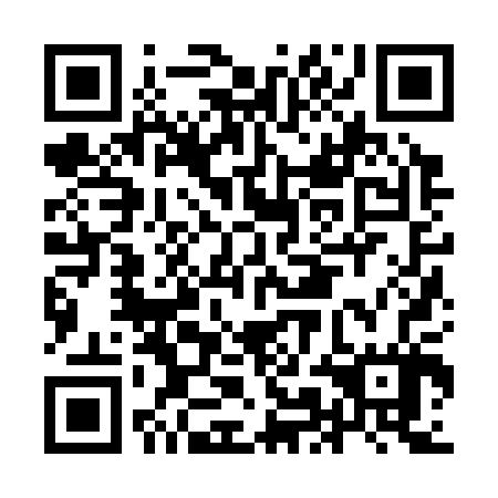 QR code for IMJ 307