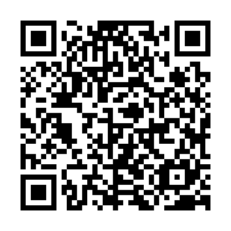 QR code for IMJ 325