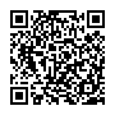 QR code for IMJ 494