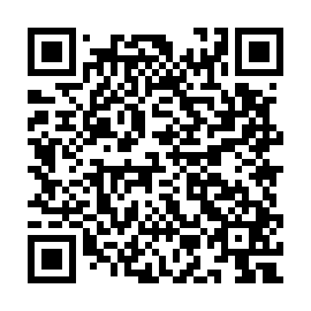 QR code for IMM 541