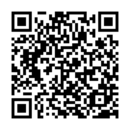 QR code for IMM382