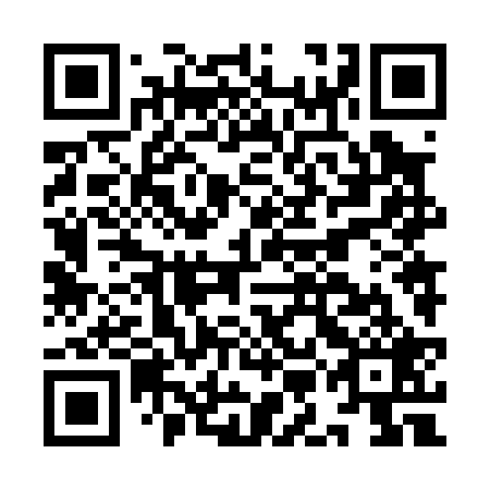 QR code for plate IMN 029