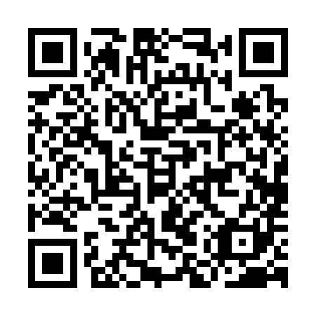 QR code for IMP 381