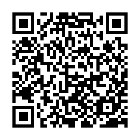 QR code for INA 385