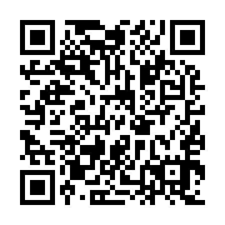 QR code for INF 955