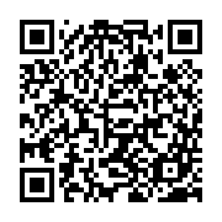 QR code for INI 047