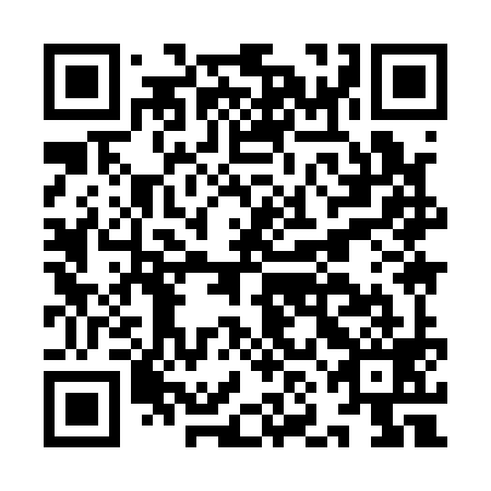 QR code for INI 199
