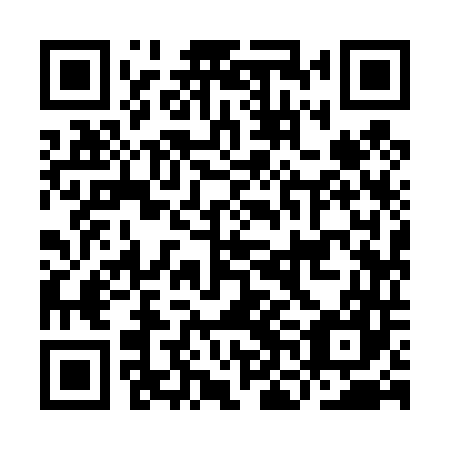 QR code for INI 447