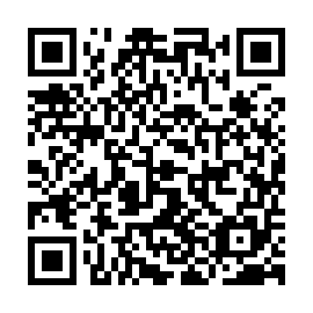 QR code for INI 955