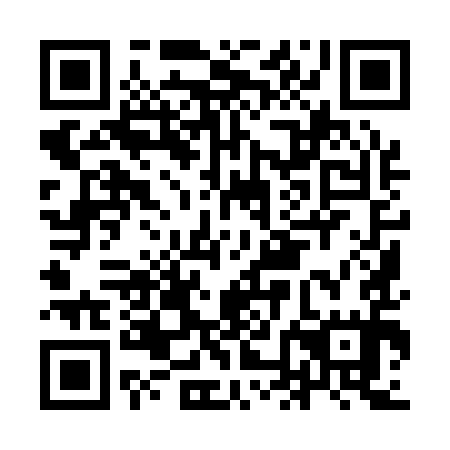 QR code for INI195