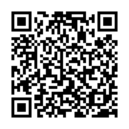 QR code for INK 491