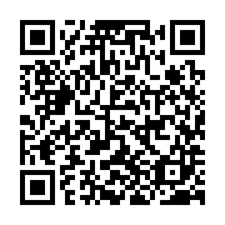 QR code for INM383