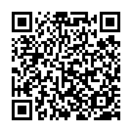 QR code for plate INM 685