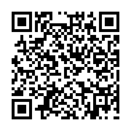 QR code for INN 733