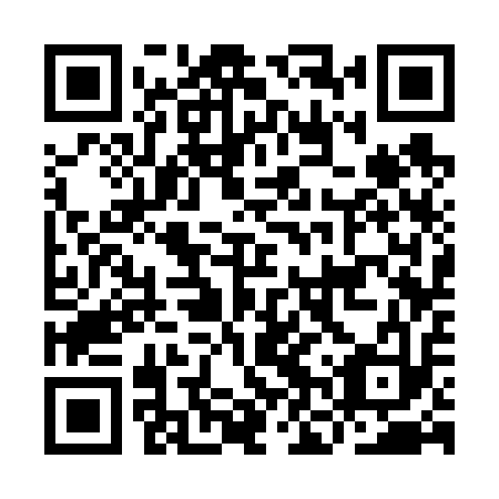 QR code for INS 613