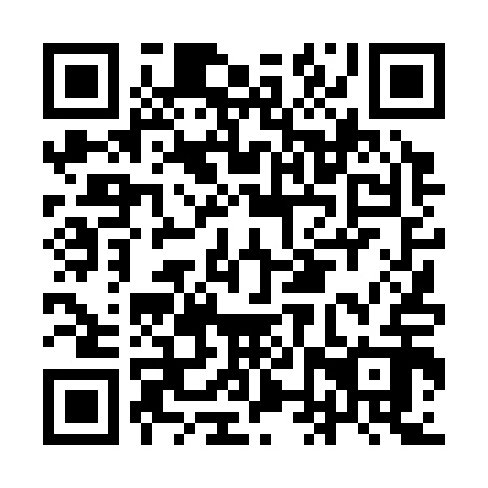 QR code for INT 312