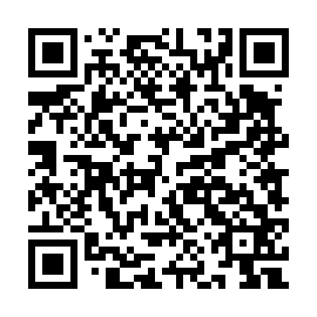 QR code for INT 462
