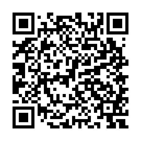 QR code for INU381