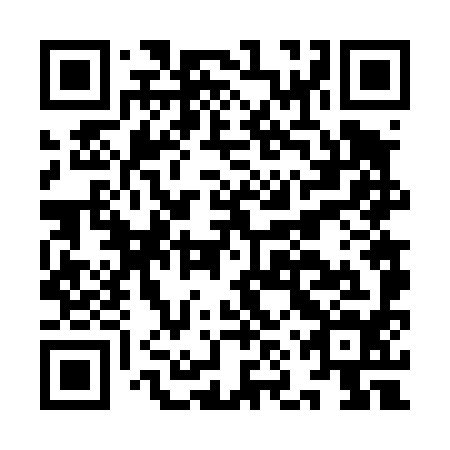 QR code for plate INV 494