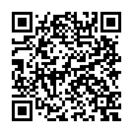 QR code for INY533