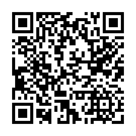 QR code for INZ 377