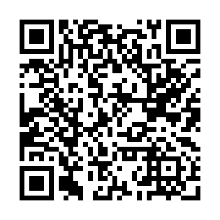 QR code for plate INZ 191