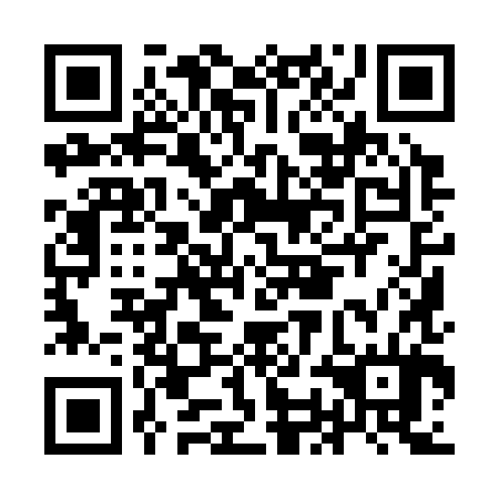 QR code for IOI 384