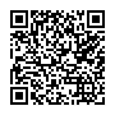 QR code for plate IOM 225