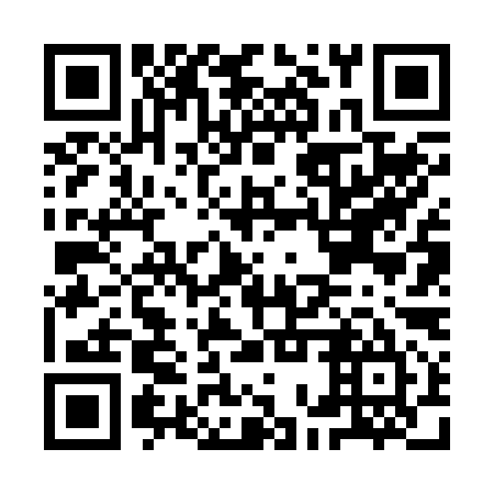 QR code for IOV 295