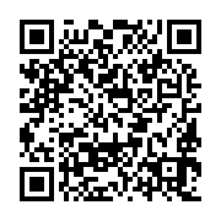 QR code for IPE 993