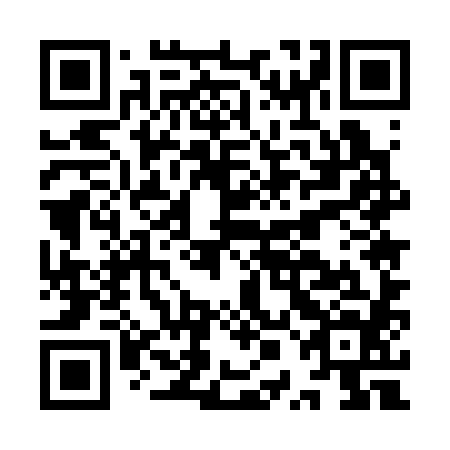 QR code for IPE384