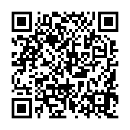 QR code for IPI 295