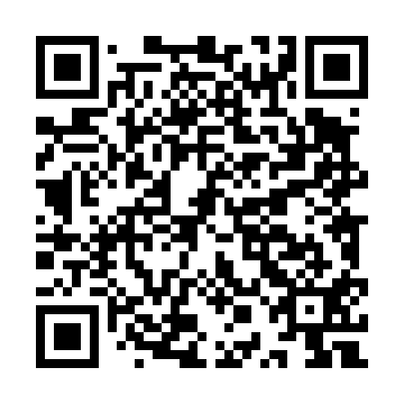 QR code for IPL 411