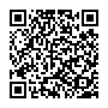 QR code for IPN 619