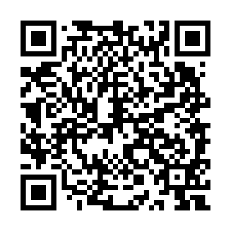 QR code for plate IPN 691