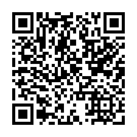 QR code for plate IPP 339