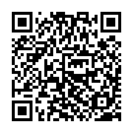 QR code for plate IPR 595
