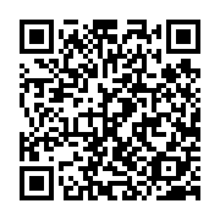 QR code for IQD 608