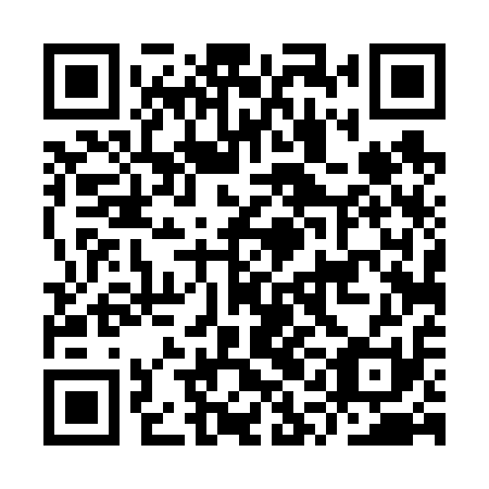 QR code for IQD 611