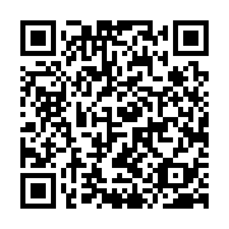 QR code for IQT 339