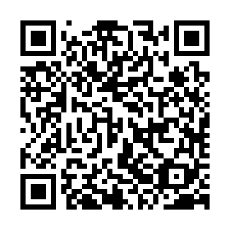 QR code for IRB 369