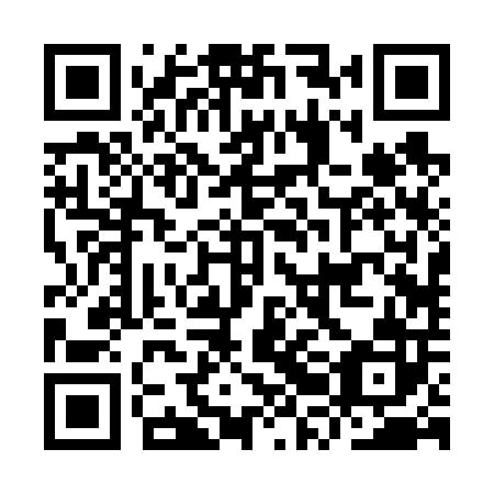 QR code for plate IRB 602