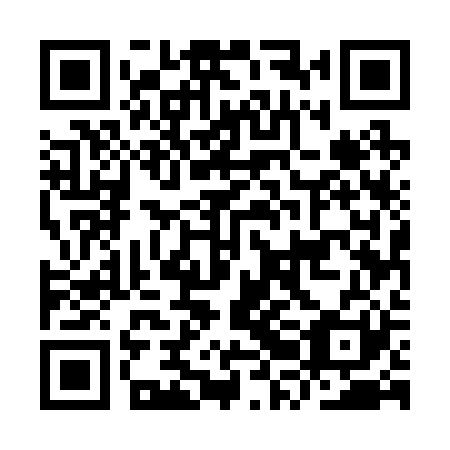QR code for plate IRE 221