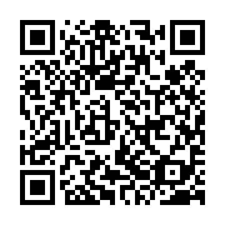 QR code for plate IRE 499