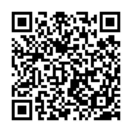 QR code for plate IRE 657