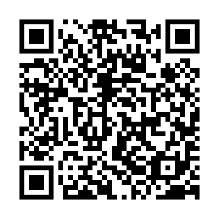 QR code for plate IRF 091