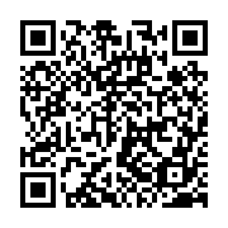 QR code for IRG 272