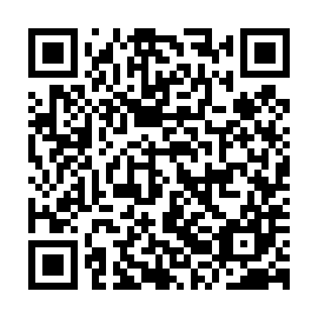 QR code for IRG 487